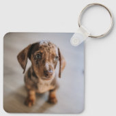 Kutest Baby Animals | Bruin Dachshund Puppy Sleutelhanger (Achterkant)