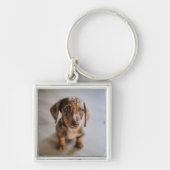 Kutest Baby Animals | Bruin Dachshund Puppy Sleutelhanger (Voorkant)