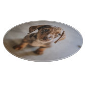 Kutest Baby Animals | Bruin Dachshund Puppy Snijplank (Hoek)