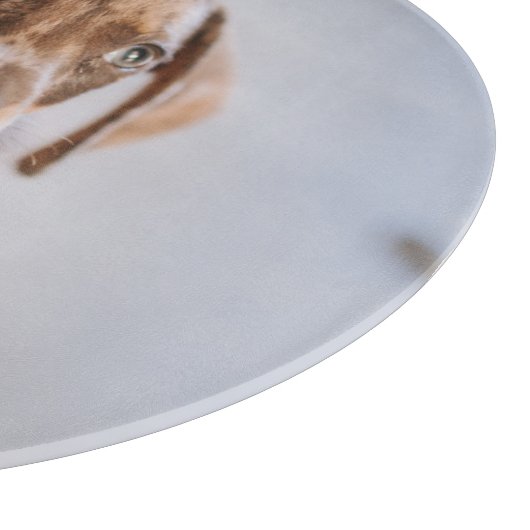 Kutest Baby Animals | Bruin Dachshund Puppy Snijplank (Hoek)