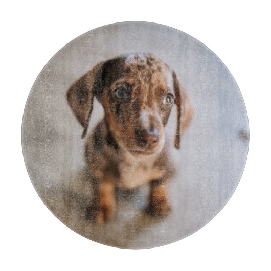 Kutest Baby Animals | Bruin Dachshund Puppy Snijplank (Voorkant)