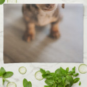 Kutest Baby Animals | Bruin Dachshund Puppy Theedoek (Gevouwen)