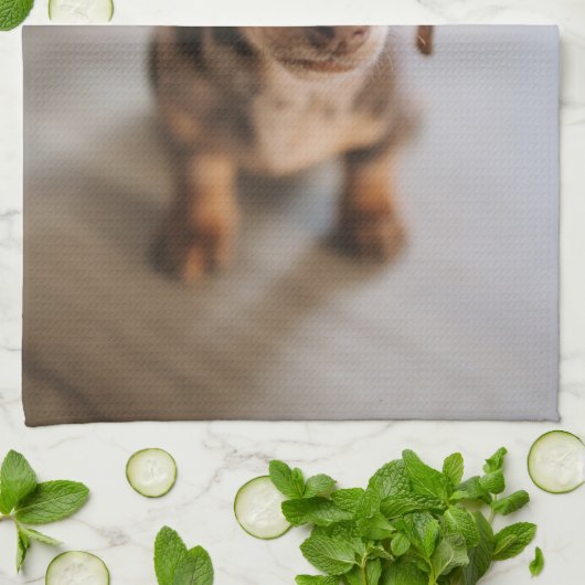 Kutest Baby Animals | Bruin Dachshund Puppy Theedoek (Gevouwen)