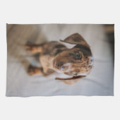 Kutest Baby Animals | Bruin Dachshund Puppy Theedoek (Horizontaal)