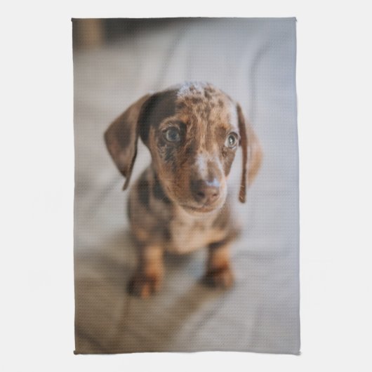 Kutest Baby Animals | Bruin Dachshund Puppy Theedoek (Verticaal)