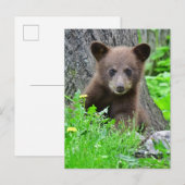Kutest Baby Animals | Bruine Beer Cub Briefkaart (Voorkant / Achterkant)