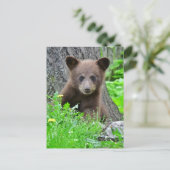 Kutest Baby Animals | Bruine Beer Cub Briefkaart (Staand voorkant)