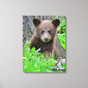 Kutest Baby Animals Bruine Beer Cub Canvas Afdruk