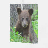 Kutest Baby Animals | Bruine Beer Cub Glas Ornament (Voorkant links)