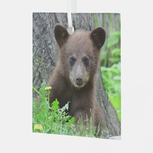 Kutest Baby Animals | Bruine Beer Cub Glas Ornament (Voorkant links)