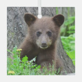 Kutest Baby Animals | Bruine Beer Cub Glas Ornament (Voorkant)