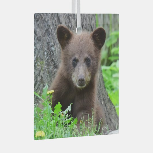 Kutest Baby Animals | Bruine Beer Cub Glas Ornament (Voorkant Rechts)