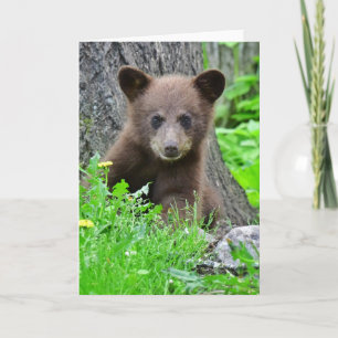 Kutest Baby Animals Bruine Beer Cub Kaart