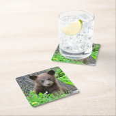 Kutest Baby Animals | Bruine Beer Cub Kartonnen Onderzetters (Insitu)