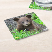 Kutest Baby Animals | Bruine Beer Cub Kartonnen Onderzetters (Schuin)