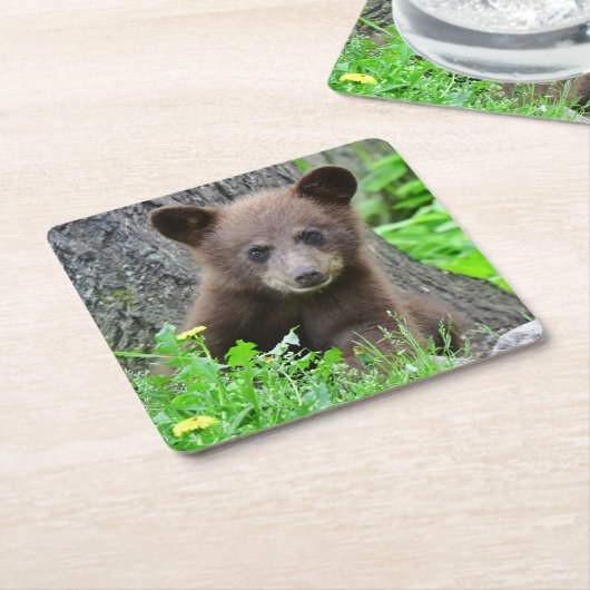 Kutest Baby Animals | Bruine Beer Cub Kartonnen Onderzetters (Schuin)