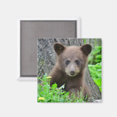 Kutest Baby Animals | Bruine Beer Cub Magneet (Voorkant / Achterkant)