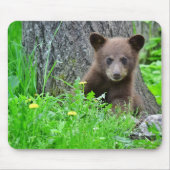 Kutest Baby Animals | Bruine Beer Cub Muismat (Voorkant)