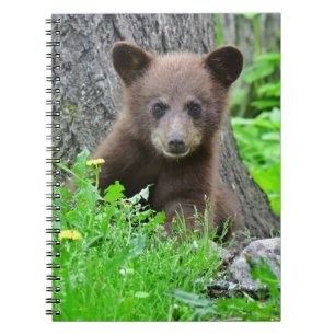Kutest Baby Animals Bruine Beer Cub Notitieboek