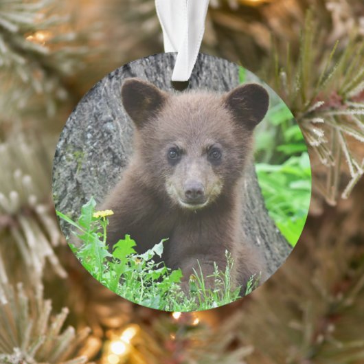 Kutest Baby Animals | Bruine Beer Cub Ornament (Boom)