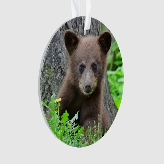 Kutest Baby Animals | Bruine Beer Cub Ornament (voorkant)