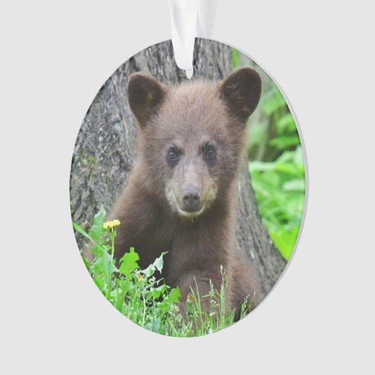 Kutest Baby Animals | Bruine Beer Cub Ornament (voorkant)
