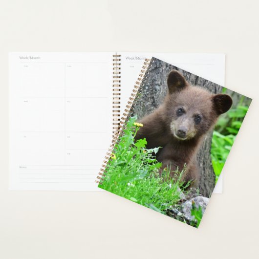 Kutest Baby Animals | Bruine Beer Cub Planner (Display)