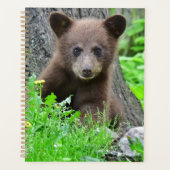 Kutest Baby Animals | Bruine Beer Cub Planner (Voorkant)