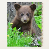 Kutest Baby Animals | Bruine Beer Cub Planner (Achterkant)