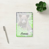 Kutest Baby Animals | Bruine Beer Cub Post-it® Notes (Kantoor)