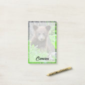 Kutest Baby Animals | Bruine Beer Cub Post-it® Notes (Op bureau)