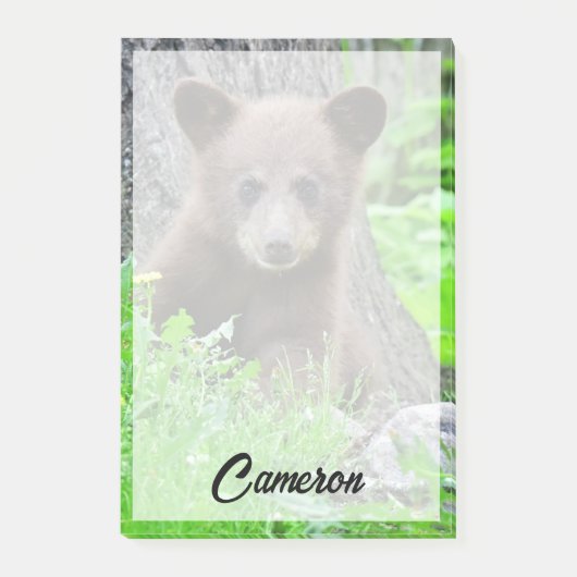 Kutest Baby Animals | Bruine Beer Cub Post-it® Notes (Voorkant)