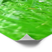 Kutest Baby Animals | Bruine Beer Cub Poster (Hoek)