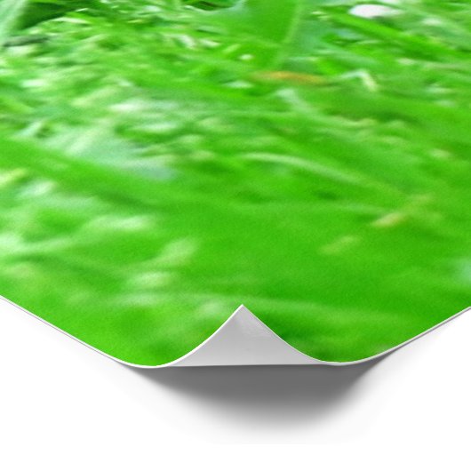 Kutest Baby Animals | Bruine Beer Cub Poster (Hoek)