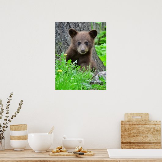 Kutest Baby Animals | Bruine Beer Cub Poster (Keuken)