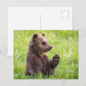 Kutest Baby Animals | Bruine Beer Cub Wave Briefkaart (Voorkant / Achterkant)