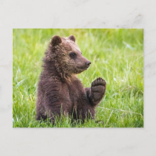 Kutest Baby Animals   Bruine Beer Cub Wave Briefkaart