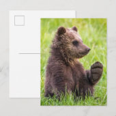 Kutest Baby Animals | Bruine Beer Cub Wave Briefkaart (Voorkant / Achterkant)