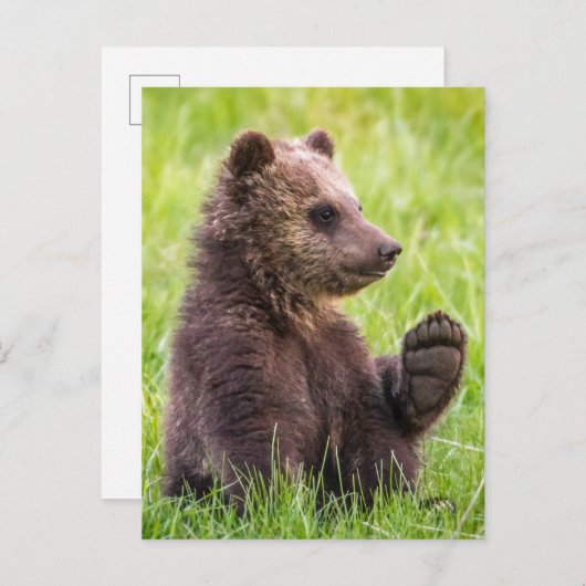 Kutest Baby Animals | Bruine Beer Cub Wave Briefkaart (Voorkant / Achterkant)