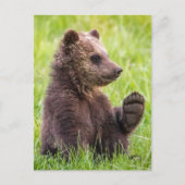 Kutest Baby Animals | Bruine Beer Cub Wave Briefkaart (Voorkant)