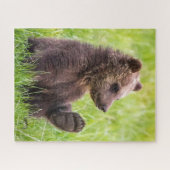 Kutest Baby Animals | Bruine Beer Cub Wave Legpuzzel (Horizontaal)