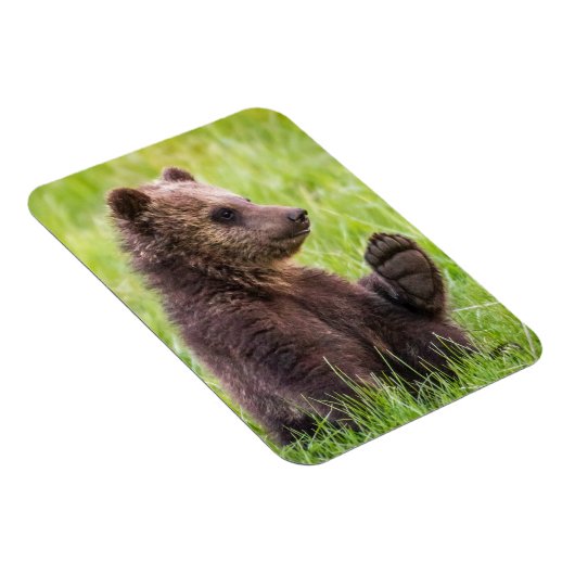 Kutest Baby Animals | Bruine Beer Cub Wave Magneet (Rechterzijde)