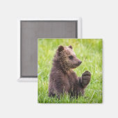 Kutest Baby Animals | Bruine Beer Cub Wave Magneet (Voorkant / Achterkant)