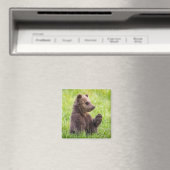 Kutest Baby Animals | Bruine Beer Cub Wave Magneet (Insitu (Vaatwasser))