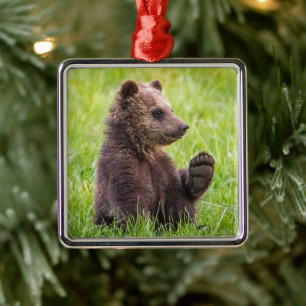 Kutest Baby Animals   Bruine Beer Cub Wave Metalen Ornament