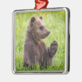 Kutest Baby Animals | Bruine Beer Cub Wave Metalen Ornament (Links)