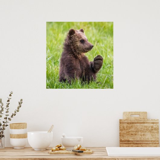 Kutest Baby Animals | Bruine Beer Cub Wave Poster (Keuken)