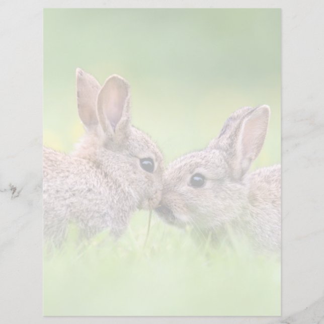 Kutest Baby Animals | Bunny Kiss (Voorkant)