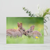 Kutest Baby Animals | Bunny Kiss Bedankkaart (Staand voorkant)