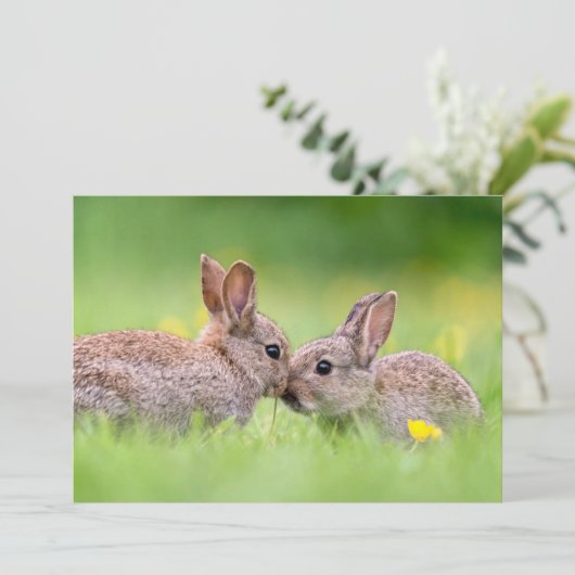 Kutest Baby Animals | Bunny Kiss Bedankkaart (Staand voorkant)